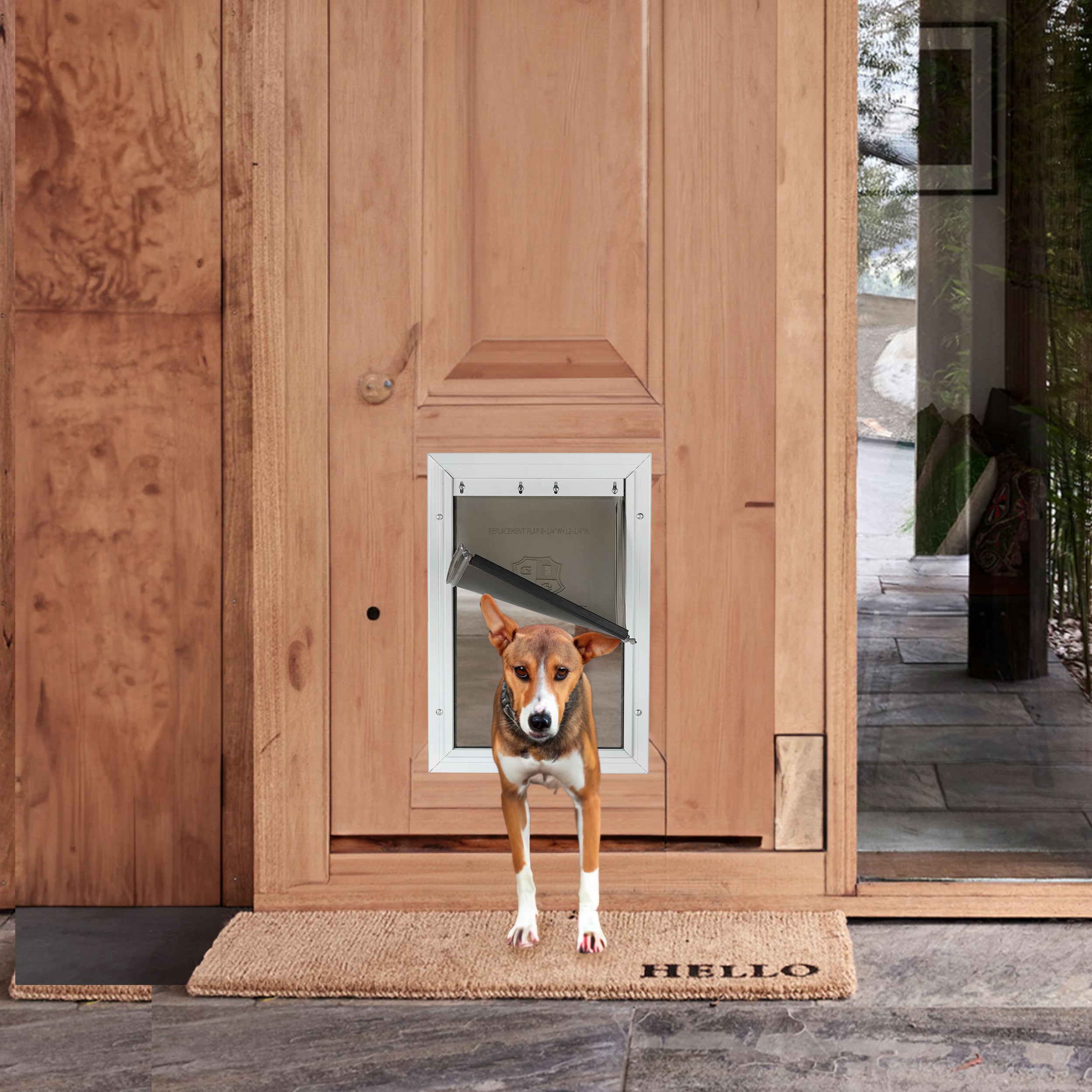 Largest Dog Door Available Flash Sales www.stelatandem