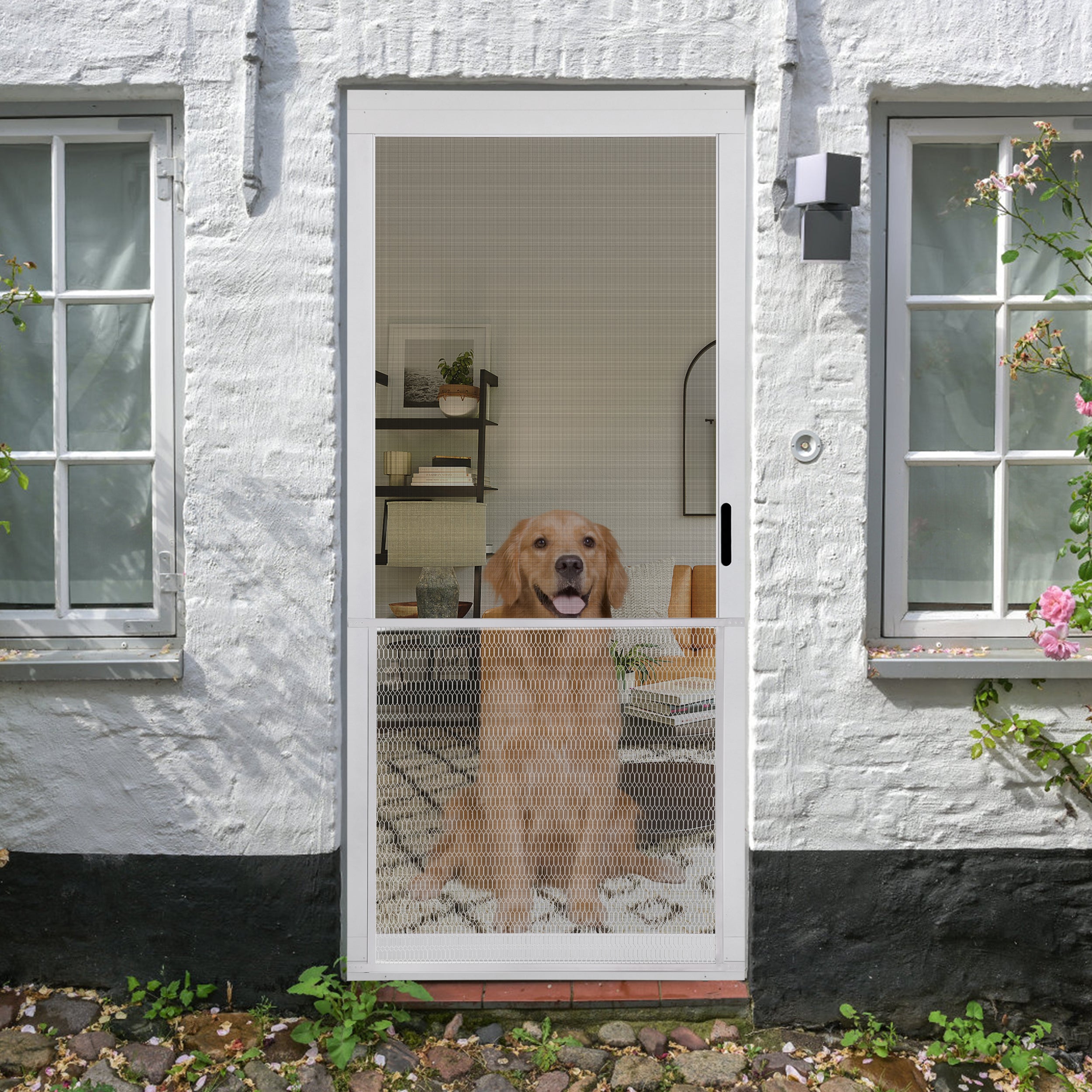 30 inch storm door with best sale pet door